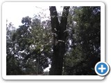 IMG_20170726_131415